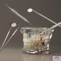 Superior Cosmetic & Family Dentistry image 43